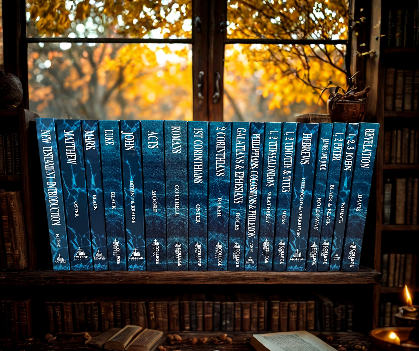 NIV New Testament Commentary Set