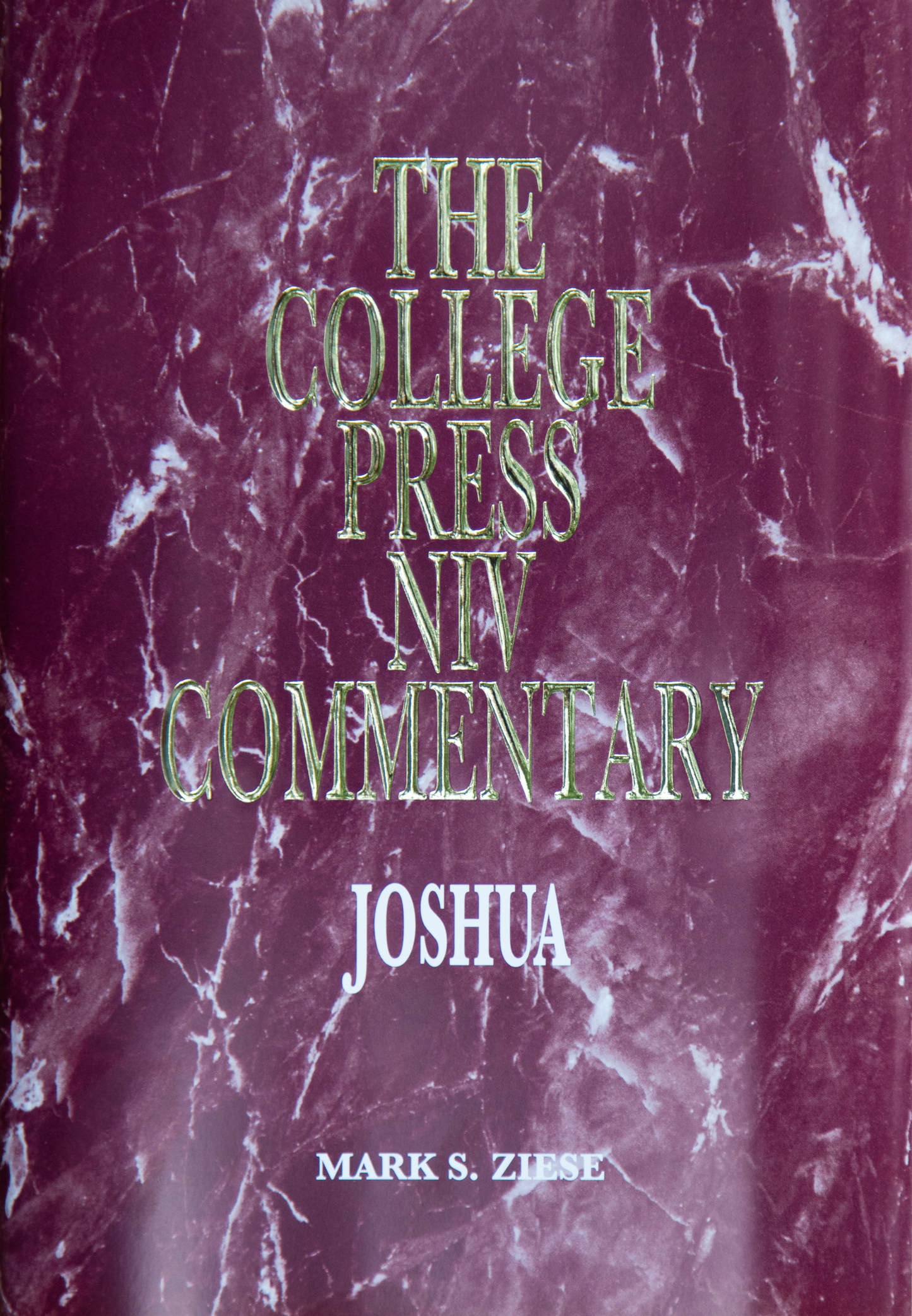 Joshua - NIV