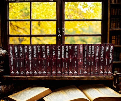 Complete NIV Commentary Set**