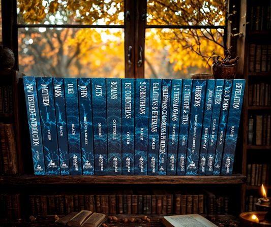 Complete NIV Commentary Set**