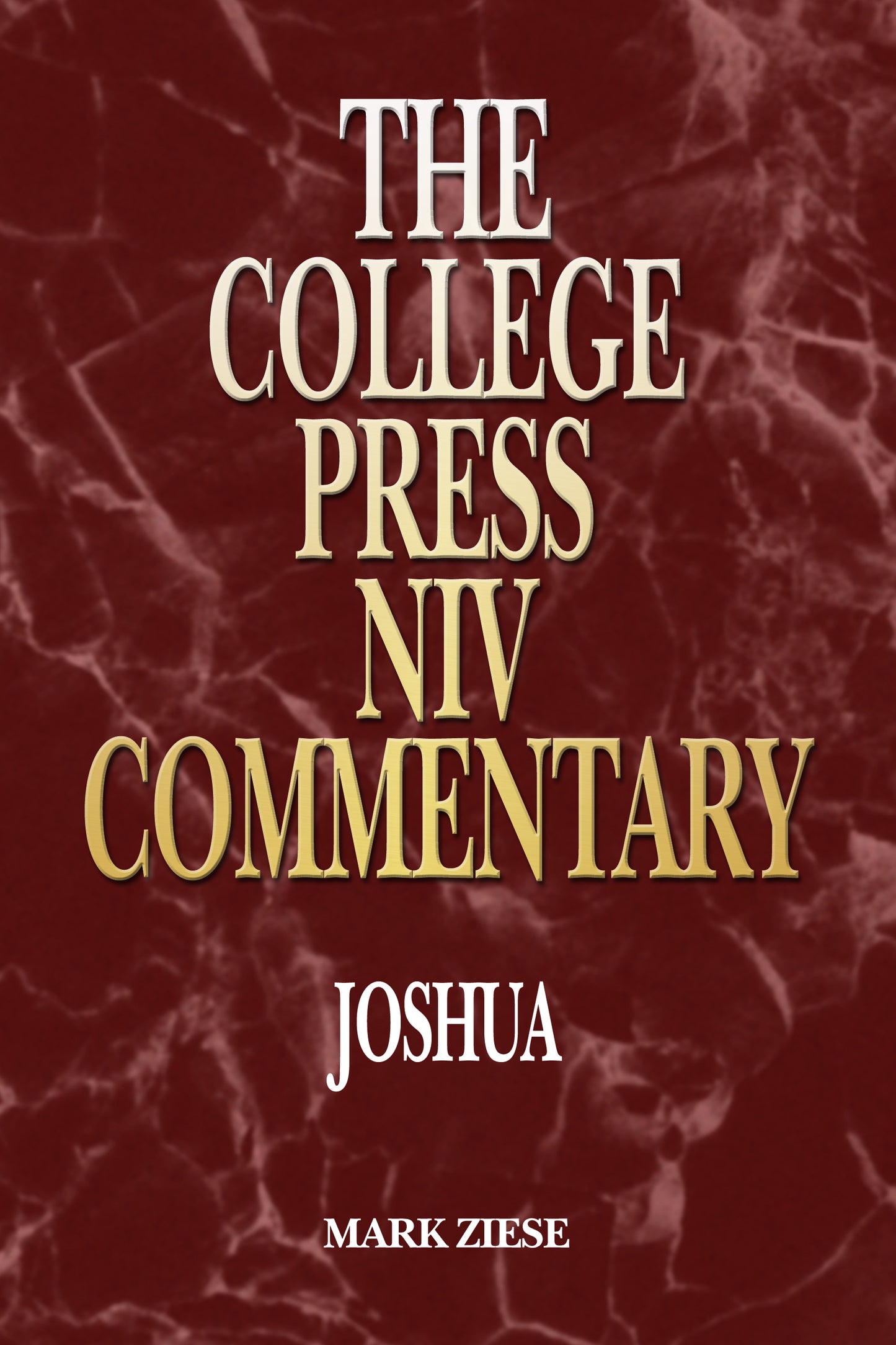 Joshua - NIV